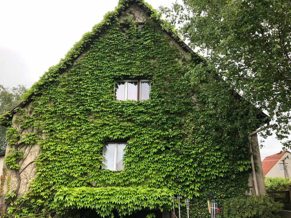 Veranda Apartman Nyíregyháza 外观 照片