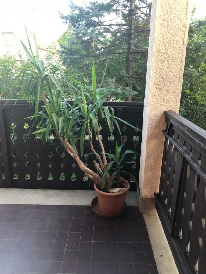 Veranda Apartman Nyíregyháza 外观 照片