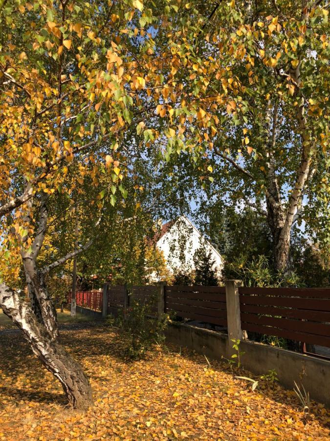 Veranda Apartman Nyíregyháza 外观 照片
