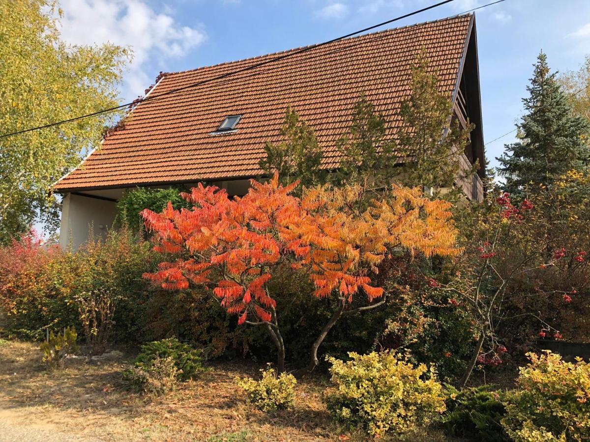 Veranda Apartman Nyíregyháza 外观 照片